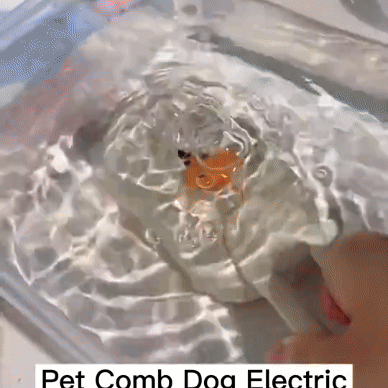 Steam Brush for Pets – Grooming & Cleaning Tool