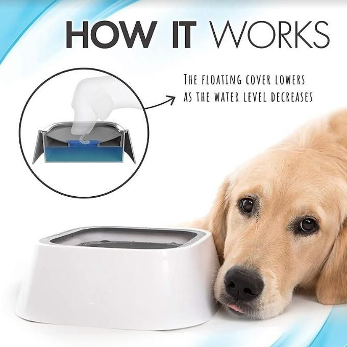 Anti-Overflow Pet Bowl | No-Spill Design