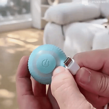 Interactive Rotating Cat Toy Ball