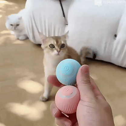 Interactive Rotating Cat Toy Ball