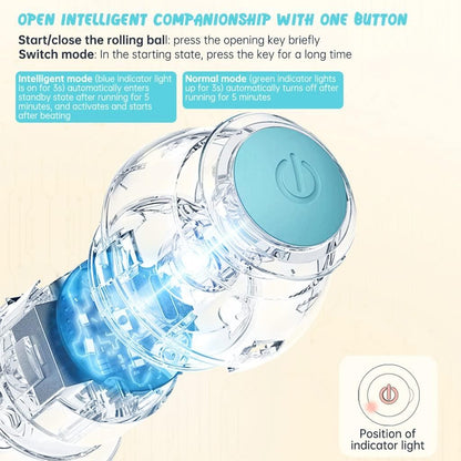 Interactive Rotating Cat Toy Ball