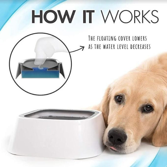 Anti-Overflow Pet Bowl | No-Spill Design