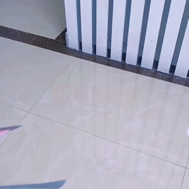 Cpixen Floor Wiper – Adjustable Magic Broom